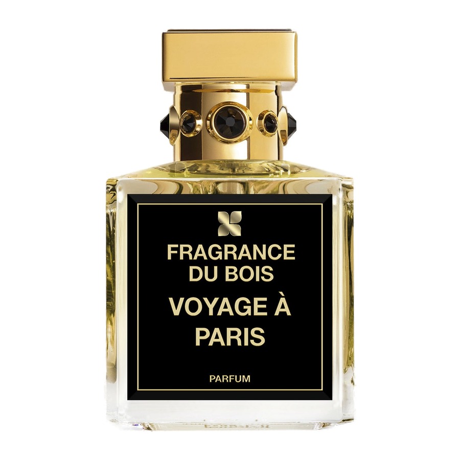 Voyage à Paris